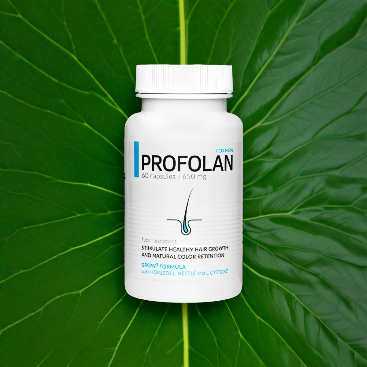 Profolan