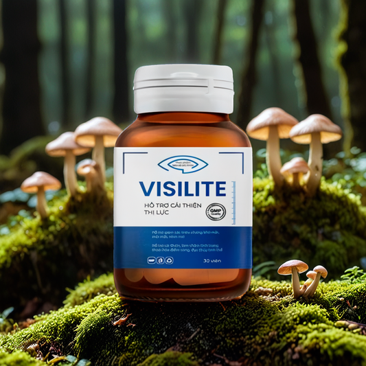 VISILITE