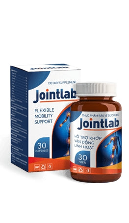 Joint Lab